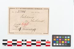 Etikett zu Bronzebuckelarmreif (NHMW-PRAE-025808)